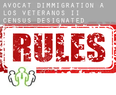 Avocat d'immigration à Los Veteranos II