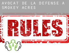 Avocat de la défense à  Smokey Acres