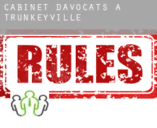 Cabinet d'avocats à  Trunkeyville