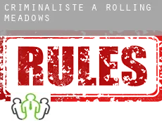 Criminaliste à  Rolling Meadows