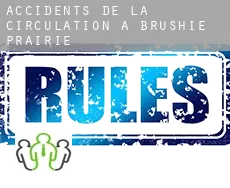 Accidents de la circulation à  Brushie Prairie