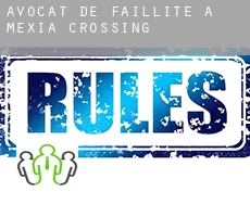 Avocat de faillite à  Mexia Crossing