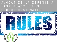 Avocat de la défense à  East Shady Hills