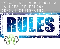 Avocat de la défense à  La Loma de Falcon