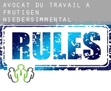 Avocat du travail à  Frutigen-Niedersimmental