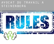 Avocat du travail à  Steinenberg