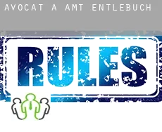 Avocat à Amt Entlebuch
