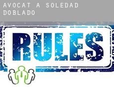 Avocat à  Soledad de Doblado