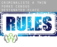 Criminaliste à  Twin Forks