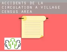 Accidents de la circulation à  Village (census area)