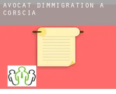 Avocat d'immigration à  Corscia