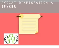 Avocat d'immigration à  Spyker