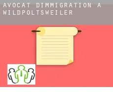 Avocat d'immigration à  Wildpoltsweiler