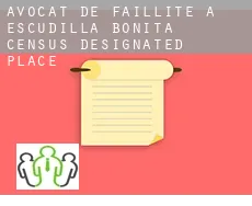 Avocat de faillite à  Escudilla Bonita