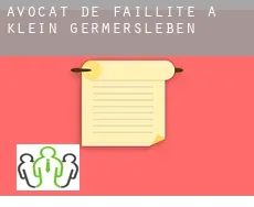 Avocat de faillite à  Klein Germersleben