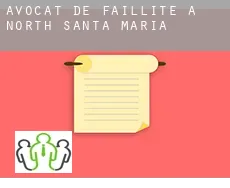 Avocat de faillite à  North Santa Maria
