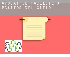Avocat de faillite à  Pasitos del Cielo