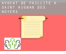 Avocat de faillite à  Saint-Aignan-des-Noyers