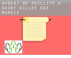 Avocat de faillite à  Saint-Gilles-des-Marais