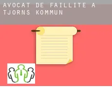 Avocat de faillite à Tjörns Kommun