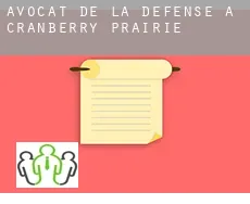 Avocat de la défense à  Cranberry Prairie