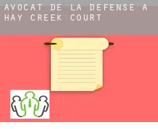 Avocat de la défense à  Hay Creek Court