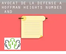 Avocat de la défense à  Hoffman Heights Numbes 12 and 13