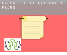 Avocat de la défense à  Pedro