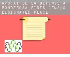 Avocat de la défense à  Ponderosa Pines