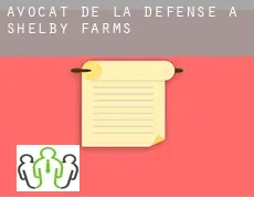 Avocat de la défense à  Shelby Farms