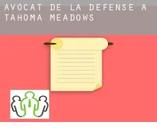 Avocat de la défense à  Tahoma Meadows