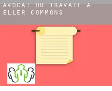 Avocat du travail à  Eller Commons