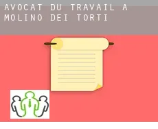 Avocat du travail à  Molino dei Torti