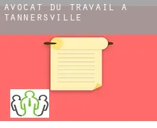 Avocat du travail à  Tannersville