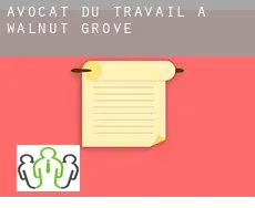 Avocat du travail à  Walnut Grove