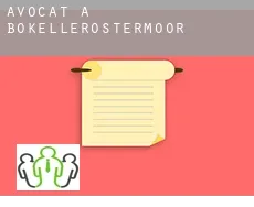 Avocat à  Bokellerostermoor