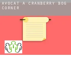Avocat à  Cranberry Bog Corner