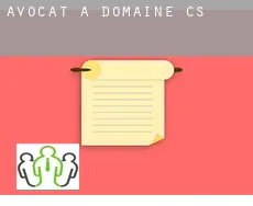 Avocat à  Domaine (census area)