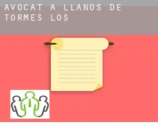 Avocat à Llanos de Tormes (Los)