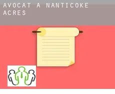 Avocat à  Nanticoke Acres