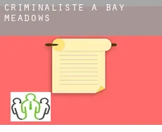 Criminaliste à  Bay Meadows