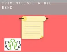 Criminaliste à  Big Bend