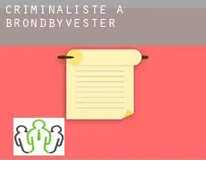Criminaliste à Brondby