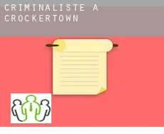 Criminaliste à  Crockertown