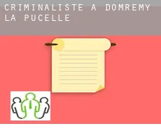 Criminaliste à Domrémy-la-Pucelle