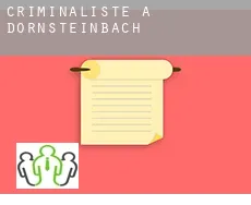 Criminaliste à Dörnsteinbach