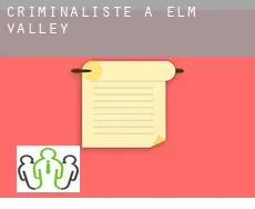 Criminaliste à  Elm Valley