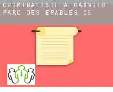 Criminaliste à  Garnier-Parc-des-Érables (census area)