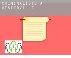 Criminaliste à Hesterville