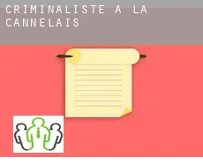 Criminaliste à  La Cannelais